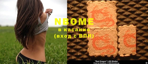 ПСИЛОЦИБИНОВЫЕ ГРИБЫ Арсеньев