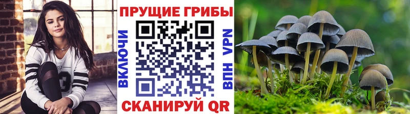 Псилоцибиновые грибы ЛСД  Бобров 
