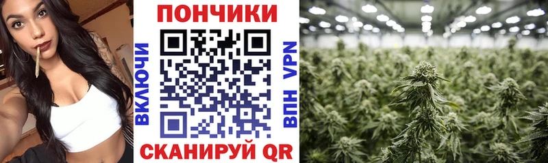 Канабис план  МЕГА рабочий сайт  Бобров 